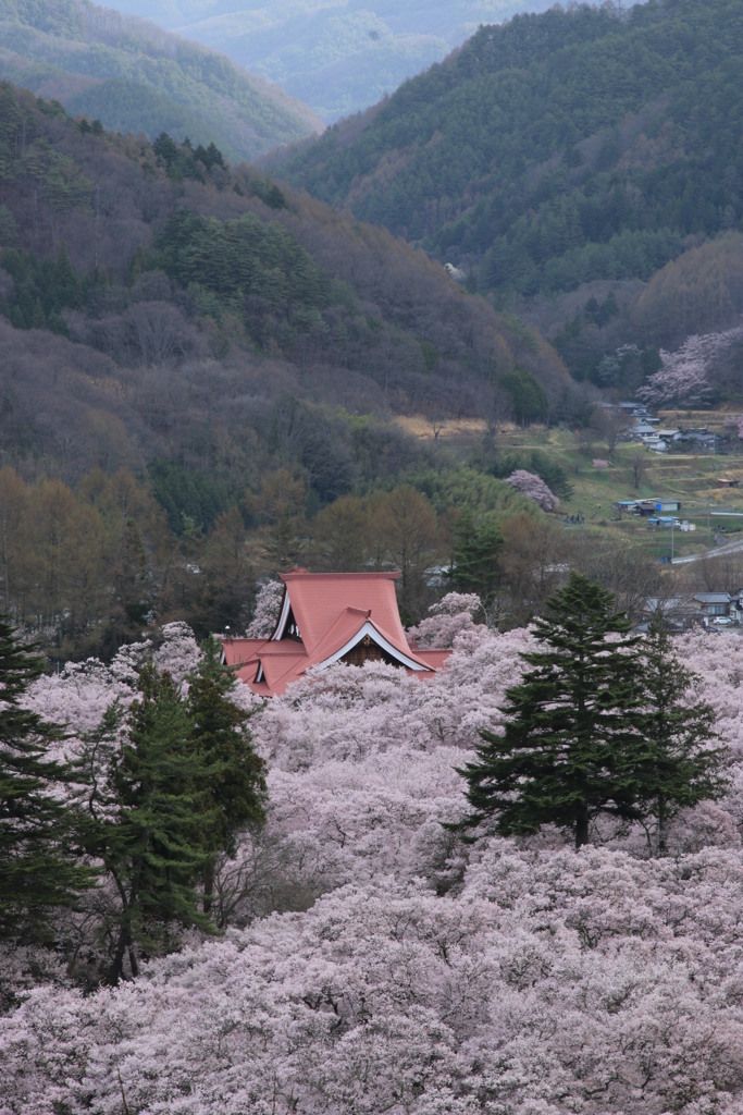 白山観音