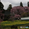 慈雲寺Ⅱ