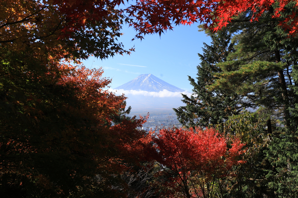 富士山