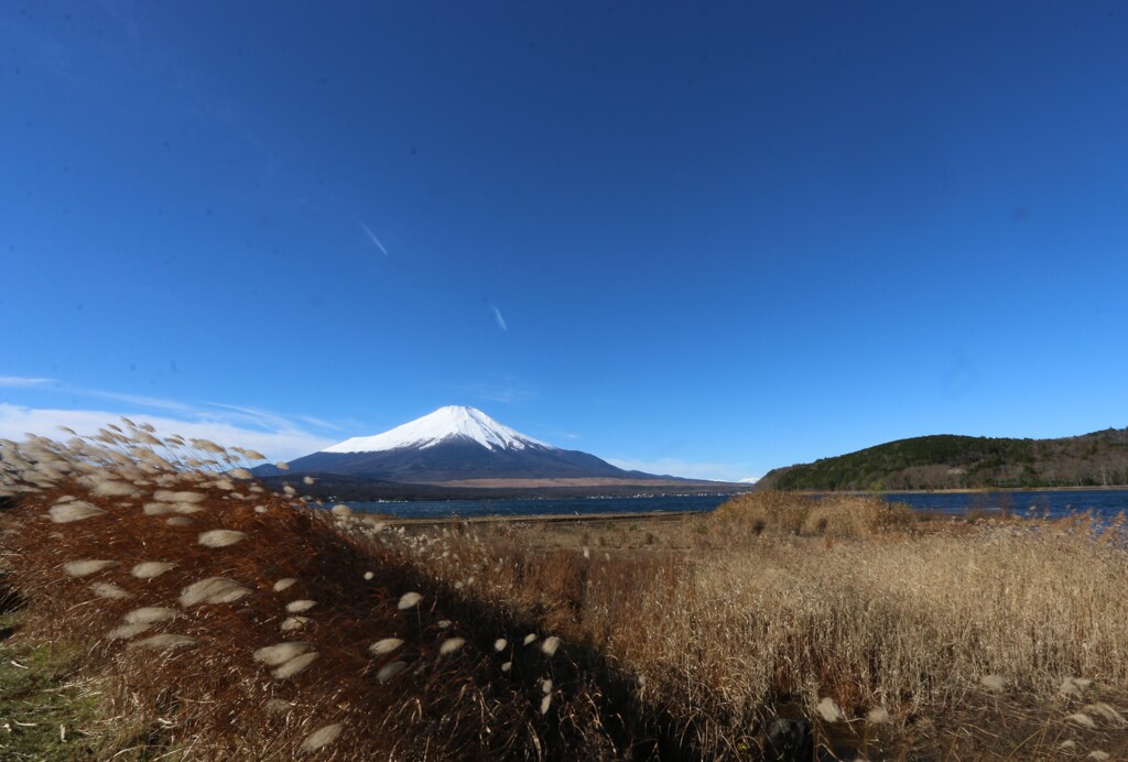 風に吹かれて