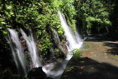 湧水のカーテン