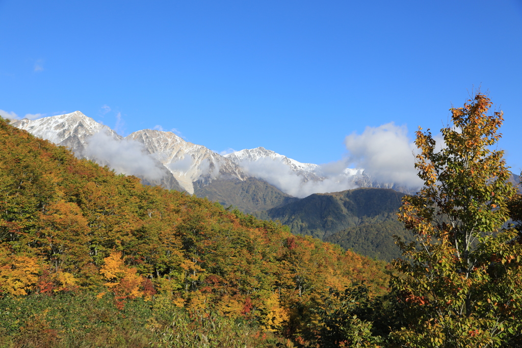 黒菱より白馬三山