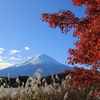 富士と紅葉