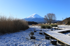 大石公園より富士を望む