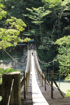 吊り橋″好きですか？