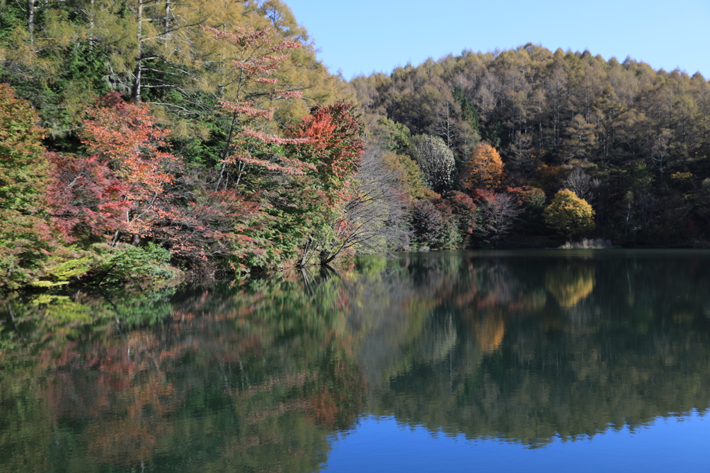 信州いずみ湖