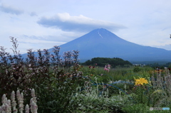 湖畔の富士　2