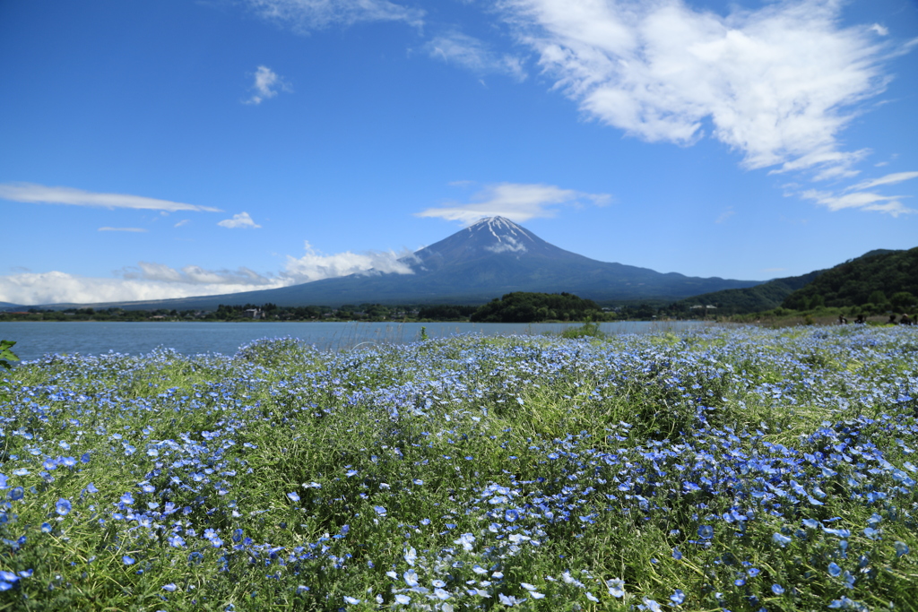 今日の富士・1(6月3日）