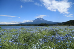 今日の富士・1(6月3日）