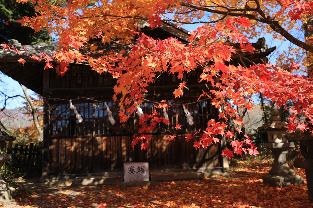 新城・藤原神社