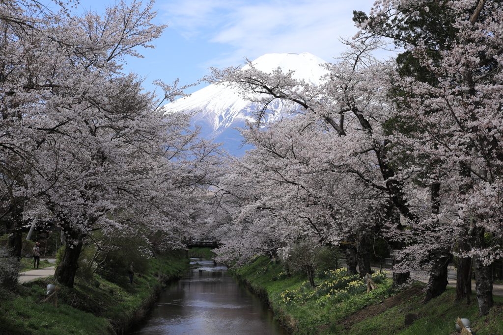 新名庄川