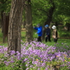 近所の公園