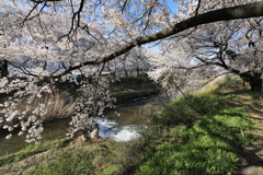 黒沢川・5