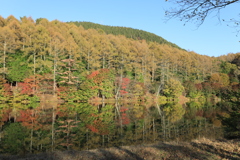 いずみ湖