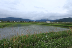 あいにくの曇り空