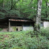 森に溶け込む（廃屋）