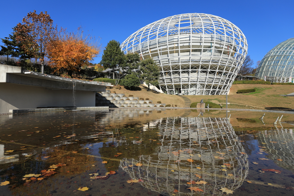 笛吹川フルーツ公園
