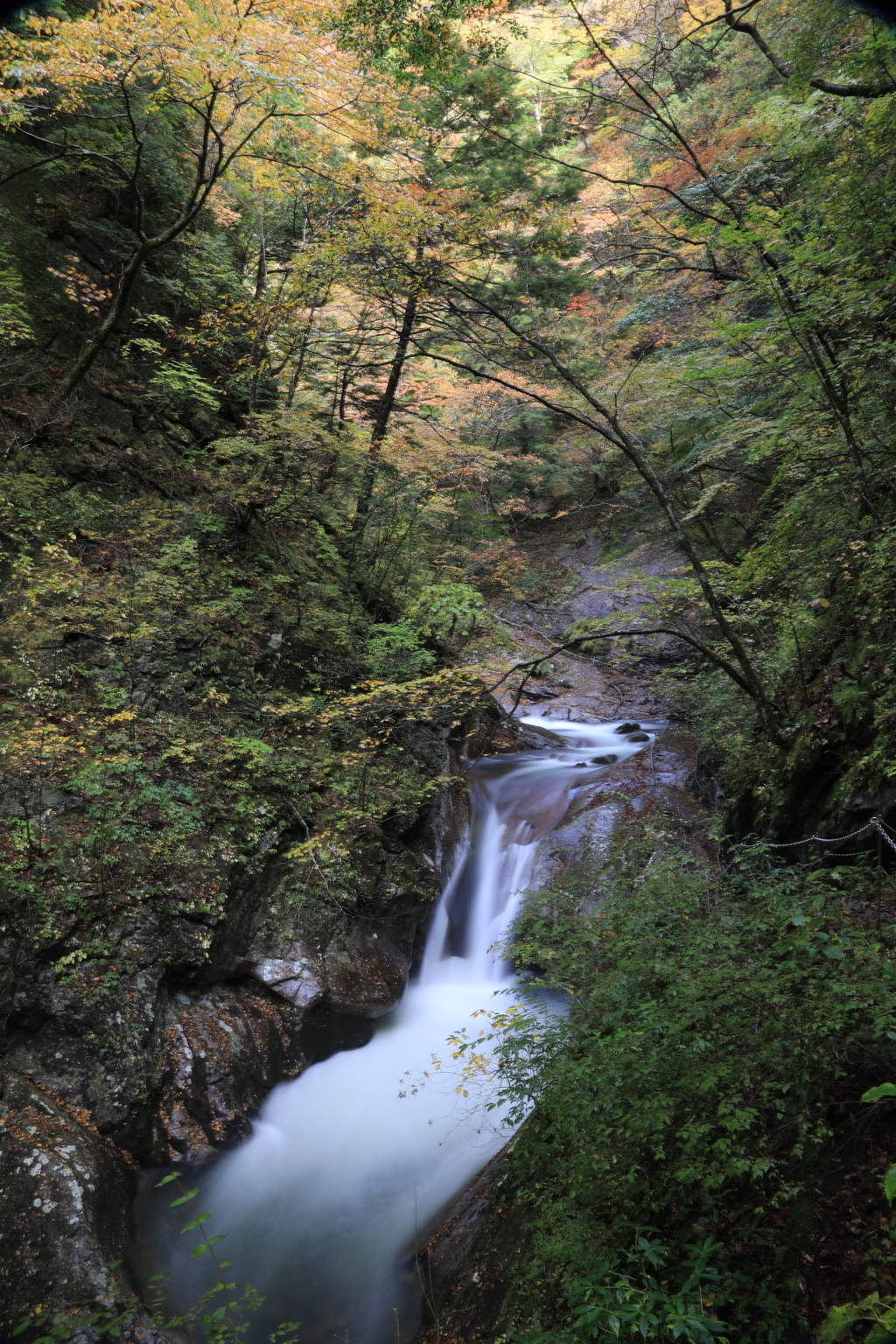 秋の西沢渓谷（貞泉の滝）