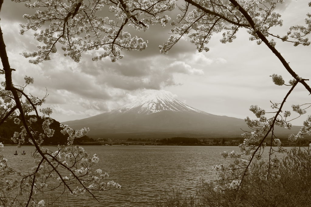 富士と桜と湖と雲と