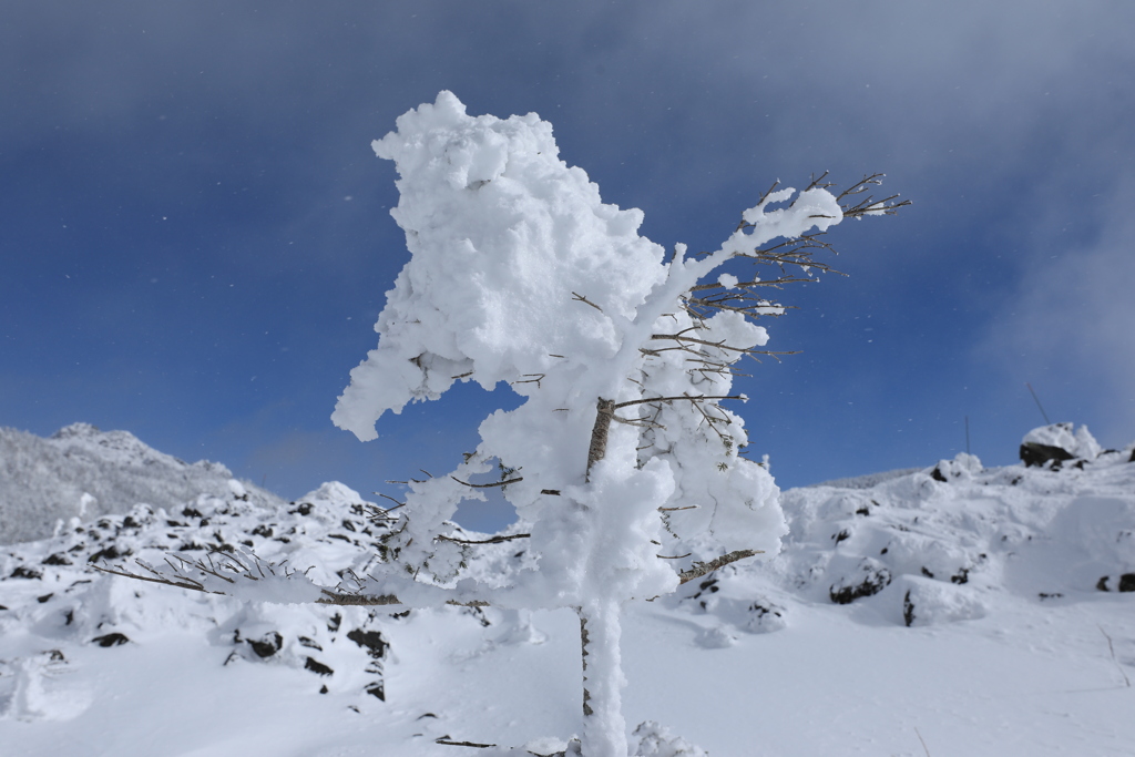 雪と風の芸術