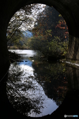 御嶽自然湖　3（トンネルを抜けると其処は・・・・・）