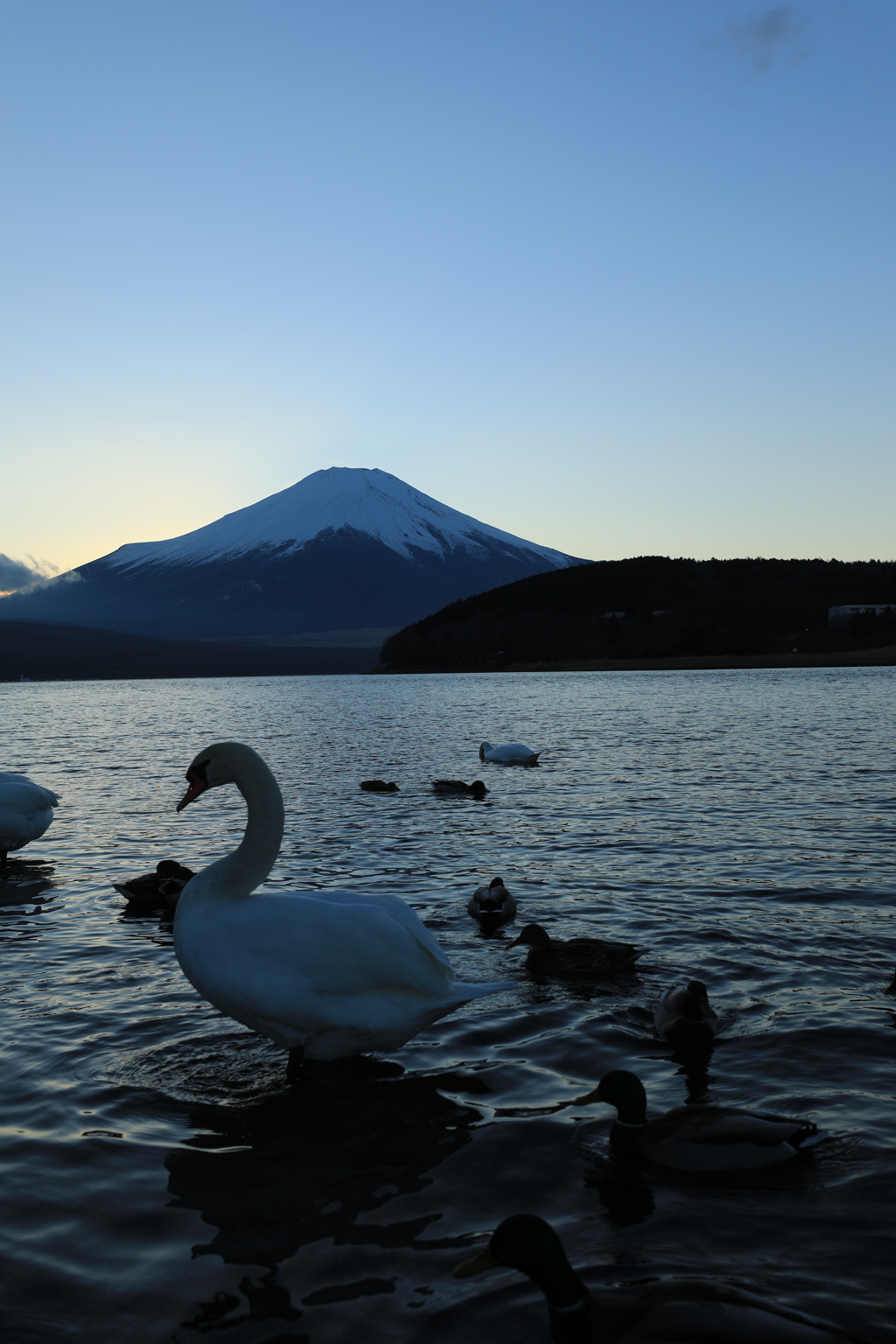 暮れなずむ富士Ⅱ