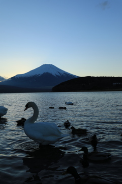 暮れなずむ富士Ⅱ