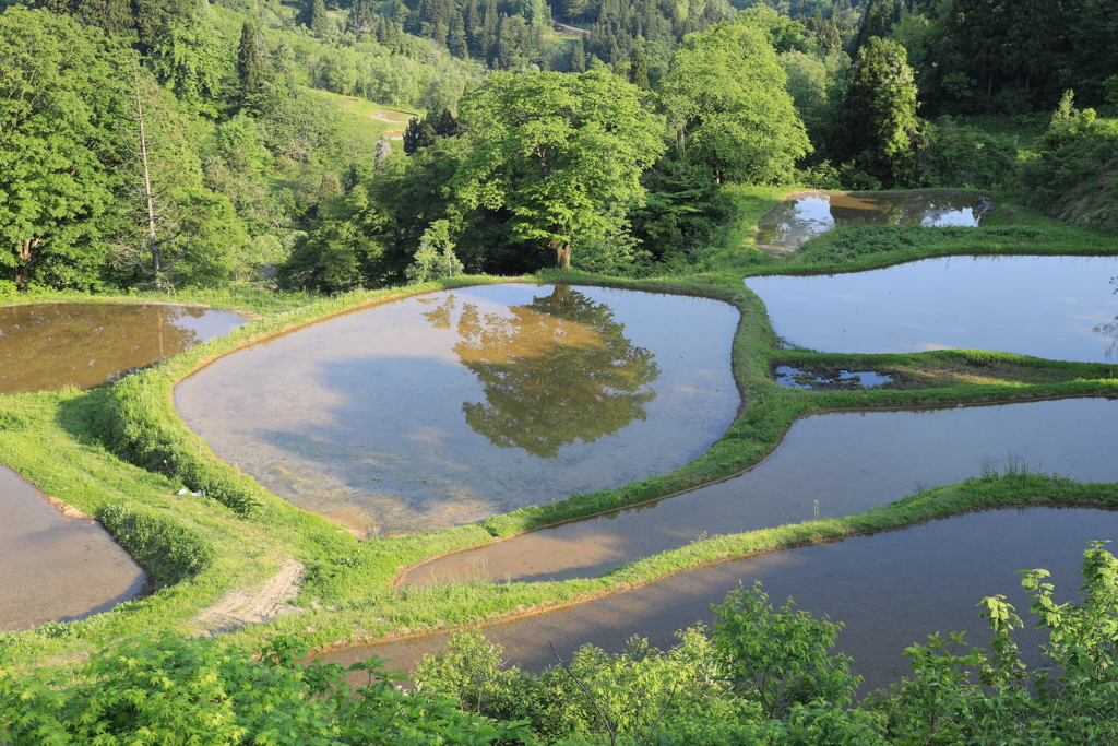 儀明の棚田