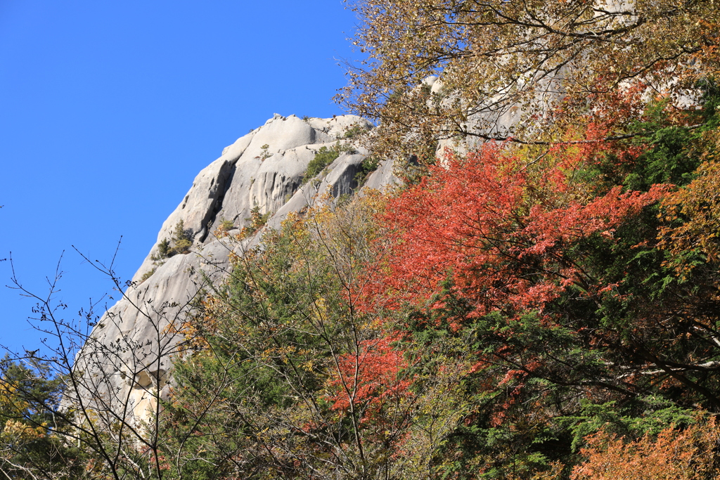 山頂を望む