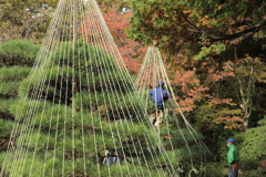 神代植物公園（冬支度）