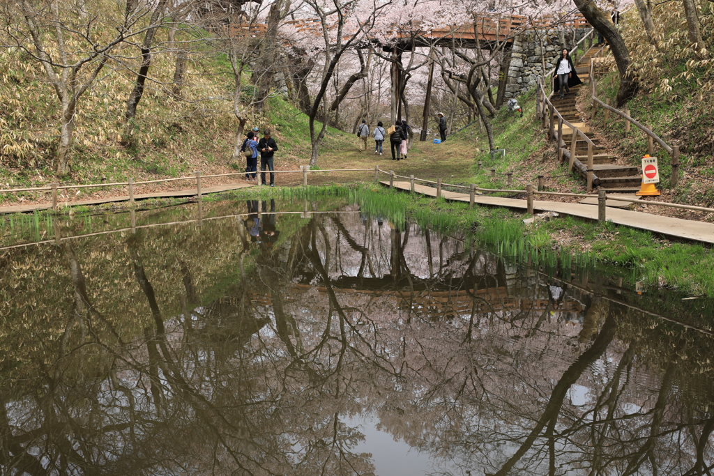 高遠城址公園・Ⅱ