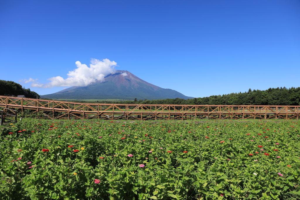 富士の峰を竜が駆け昇る