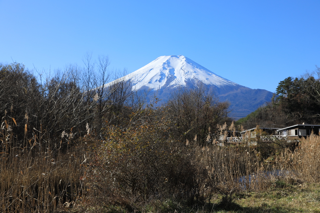忍野富士