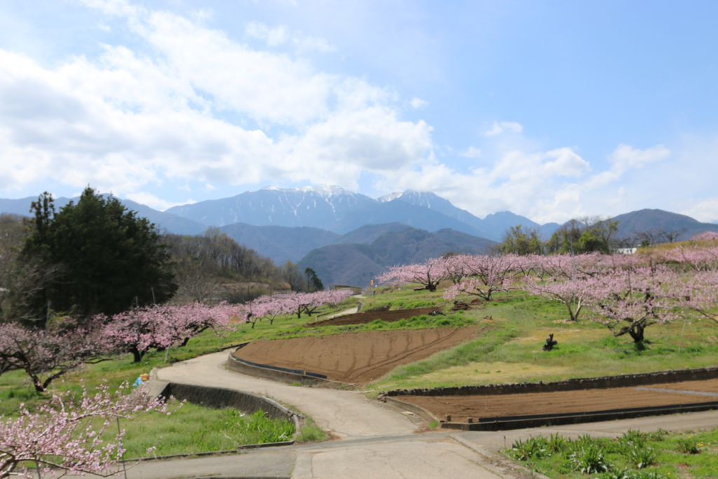 農村の春