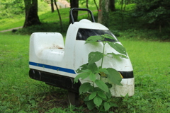 ご乗車お待ちしています・・・（無料です）