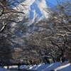雪景色・2