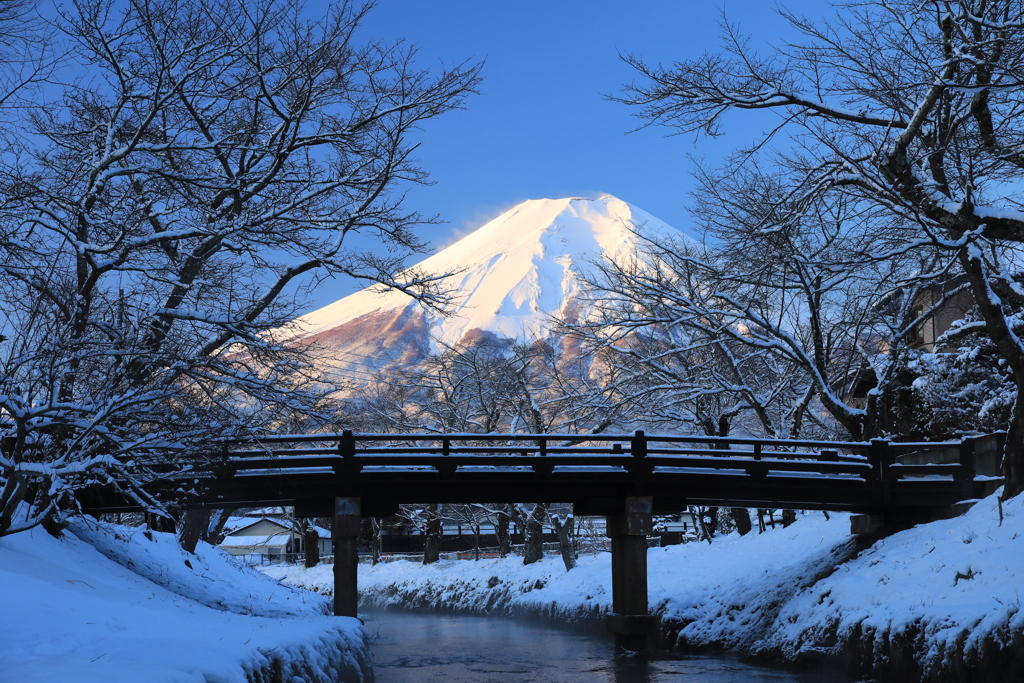 雪景色・1