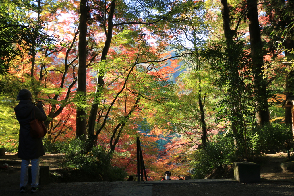 香積寺参道