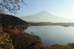 秋の朝の田貫湖