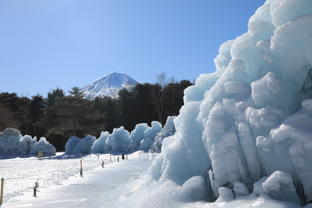 富士と樹氷