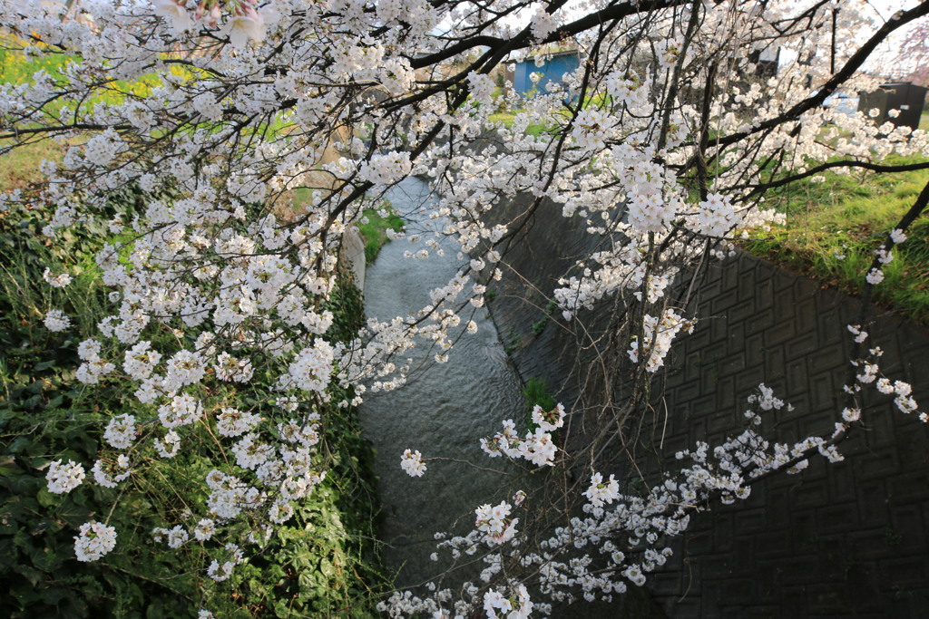 慈眼寺・2