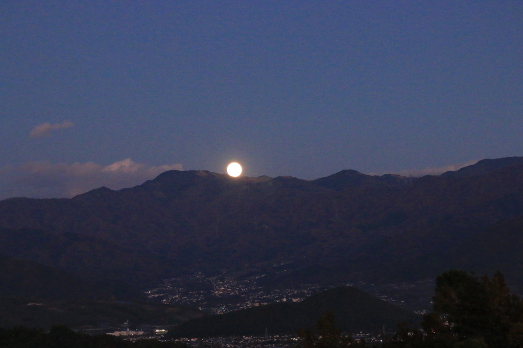 ショーの始まり・・