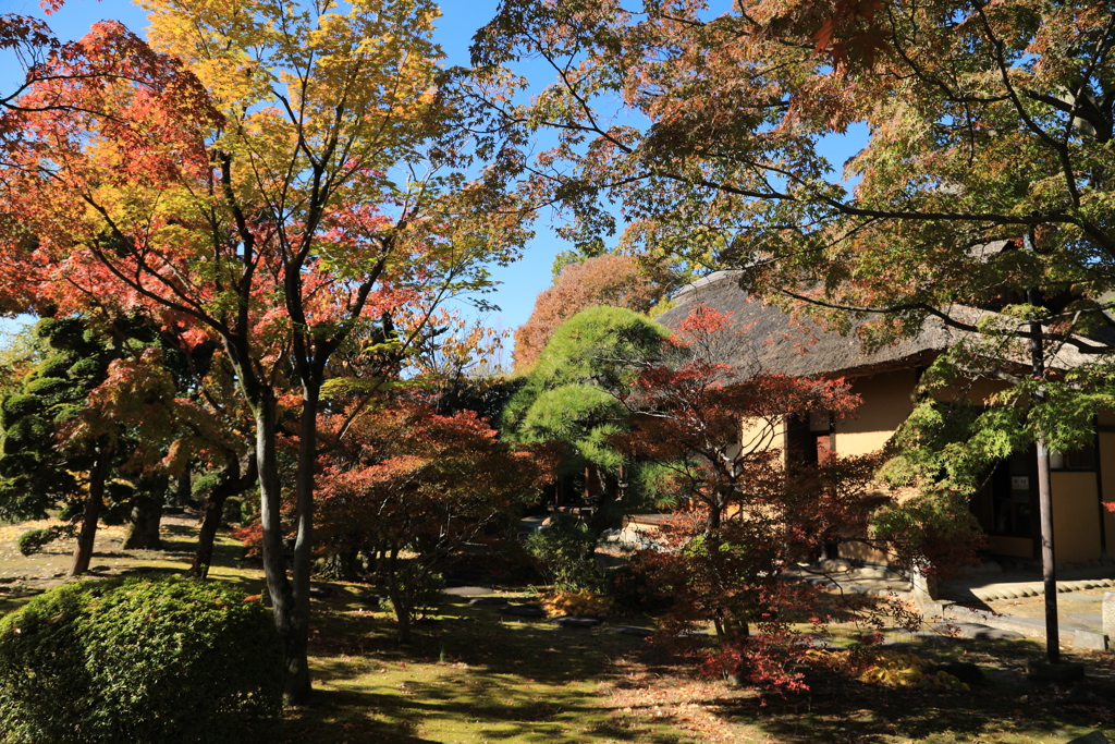 書院