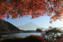 秋朝（しゅうちょう）の田貫湖