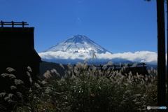 根場からの富士-1