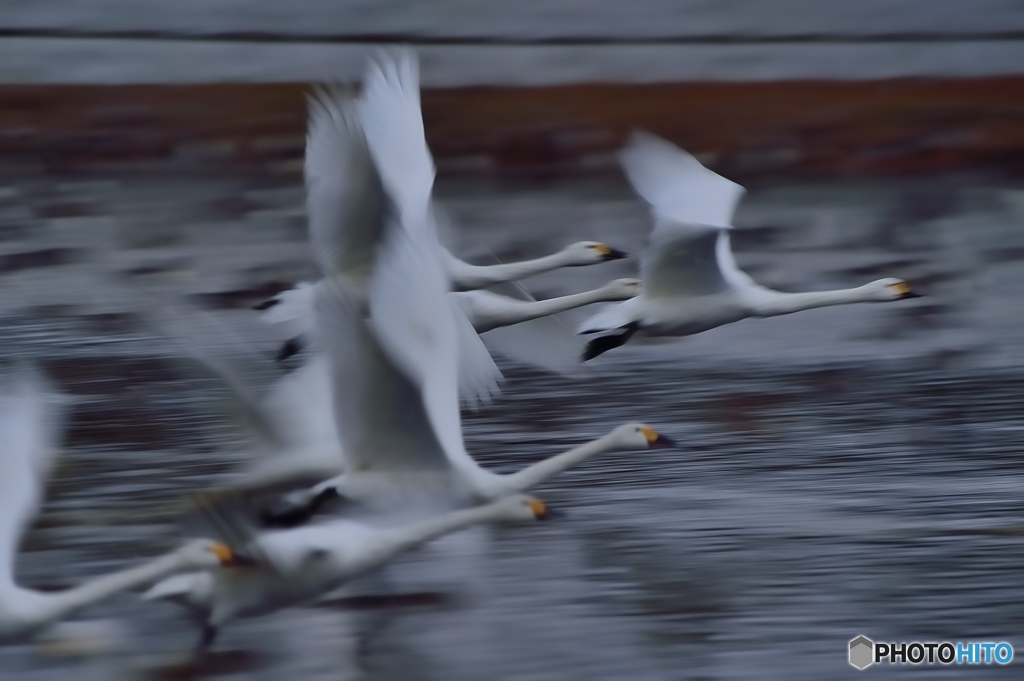 飛び立つ・・・