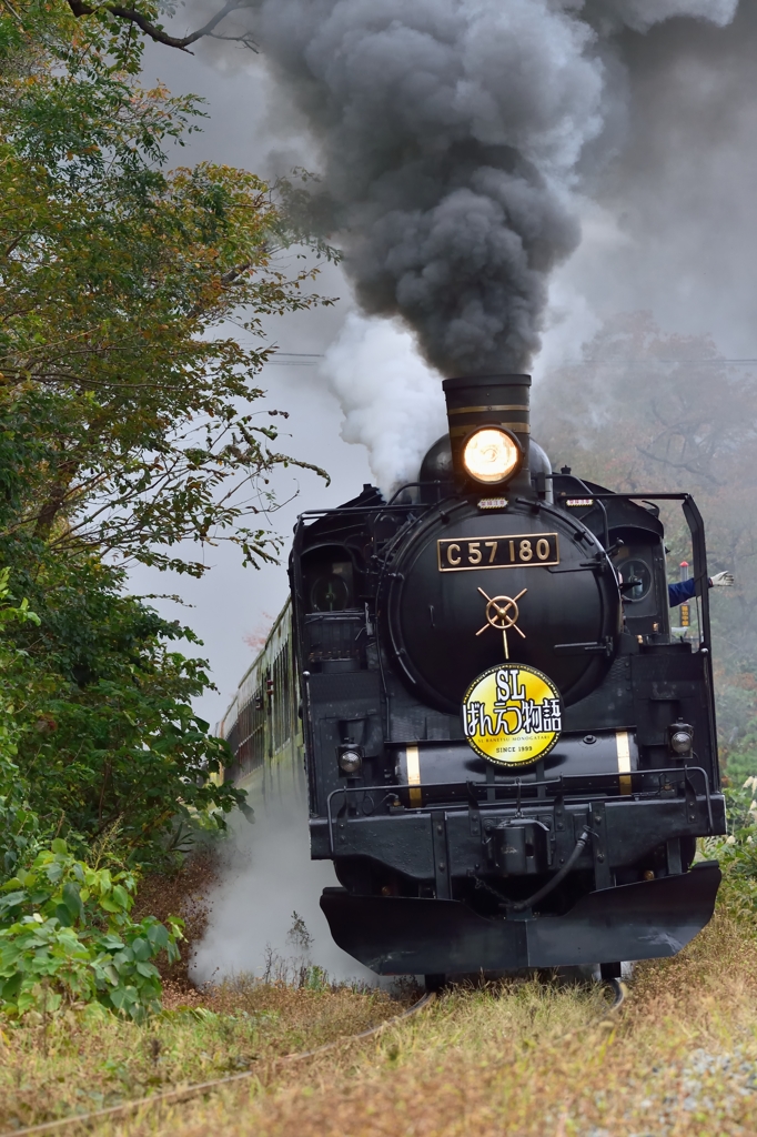  C57 180