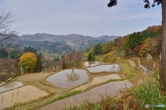 儀明の棚田」ちょっと遅かった