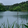 雨の中の「毘沙門沼」