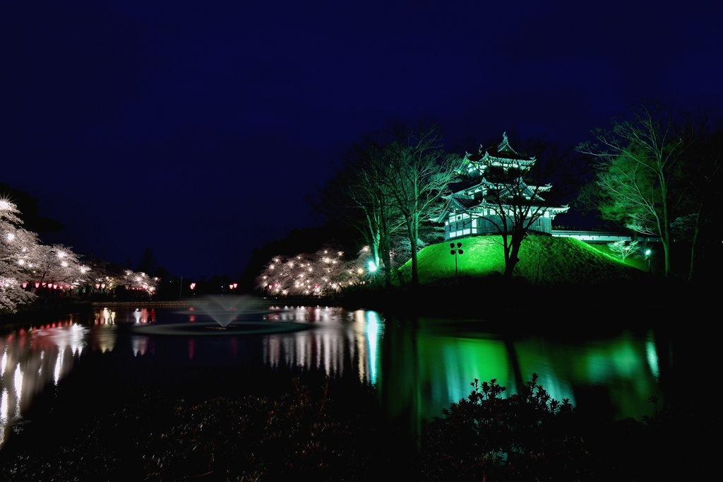 高田城址公園のライットアップ